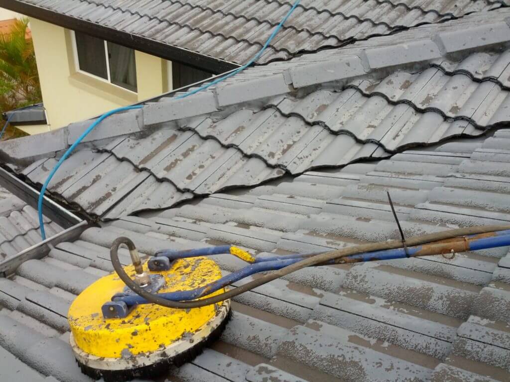 Lichen-covered roof before high-pressure thermal washing