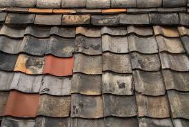 Causes of Mould on Roof